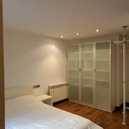 Daire Apartamento Casco Antiguo De Llivia